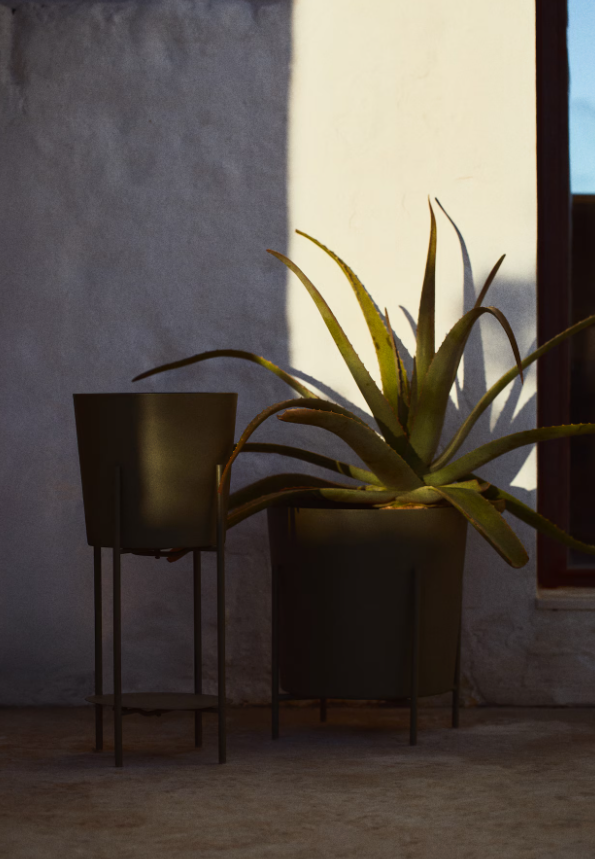 Indoor plants in boho bedroom setting
